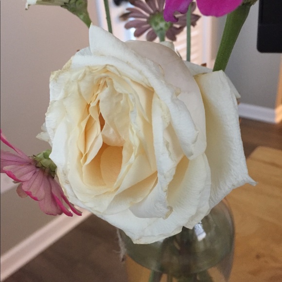 Meet your Posher, Susan - Picture 1 of 1